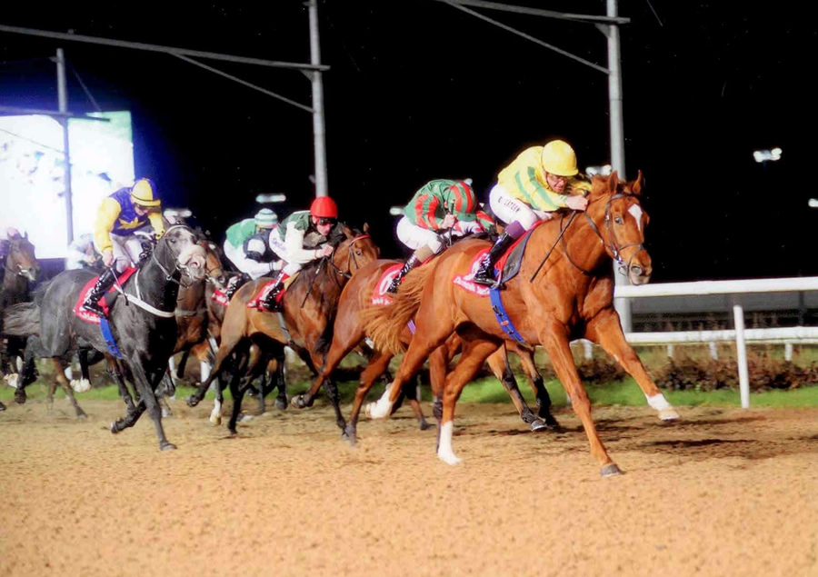 Piri Wango Dundalk 4th Nov